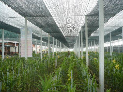 Thiết kế nhà lưới trồng rau Nhà lưới vòm sóng  Trương phú thuận